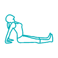 Xe Tải Trọng Tấn