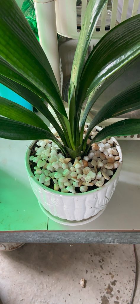 Xe Tải Trọng Tấn