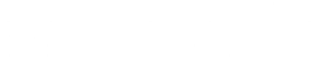 Xe Tải Trọng Tấn