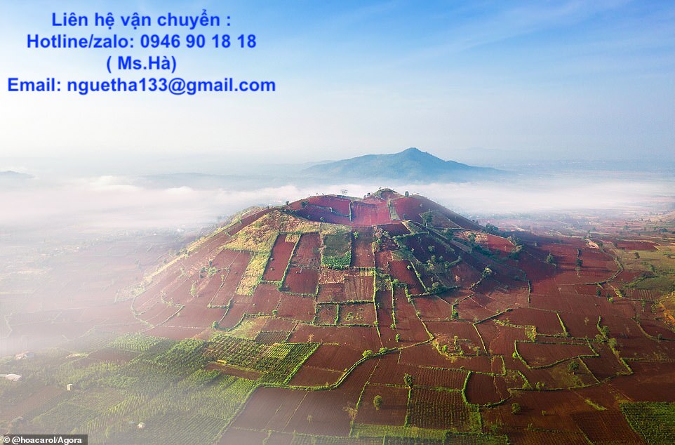 Xe Tải Trọng Tấn