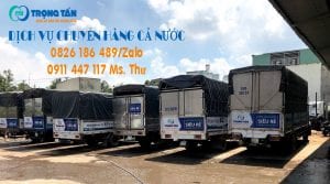 Chở hàng Đà Nẵng đi Vĩnh Thạnh Cần Thơ