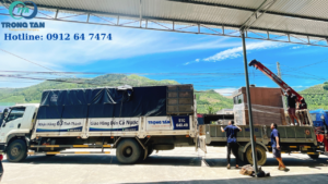 xe tai cho hang 15 tan